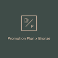 Bronze Plan