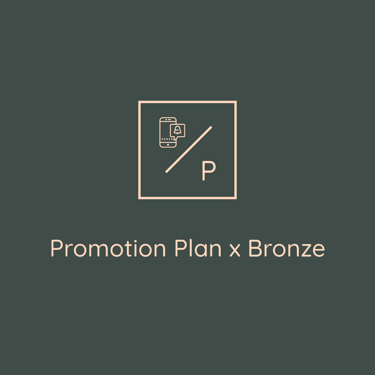 Bronze Plan